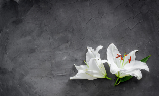 Last Ride Funeral Service, Bangalore